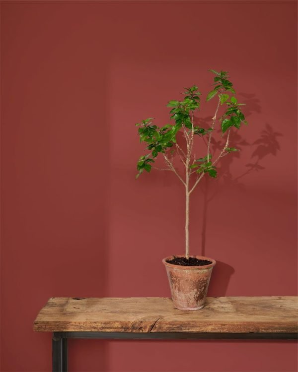 Primer Red 120ml - Image 2