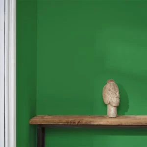 Schinkel Green 2,5litra