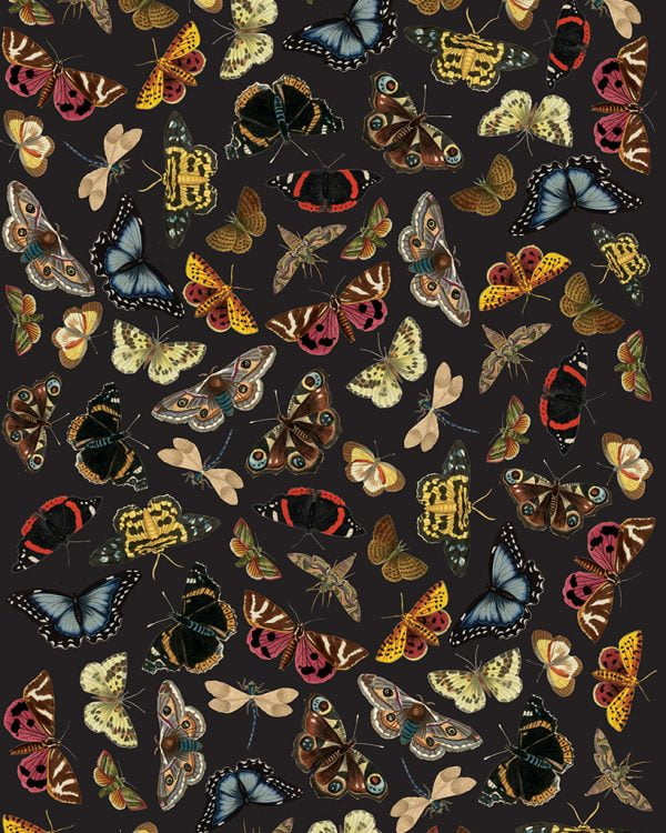 Annie Sloan dekupáž Winged Wildlife