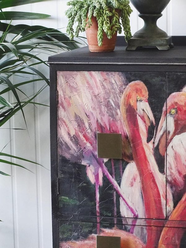 Flamingo - Image 4