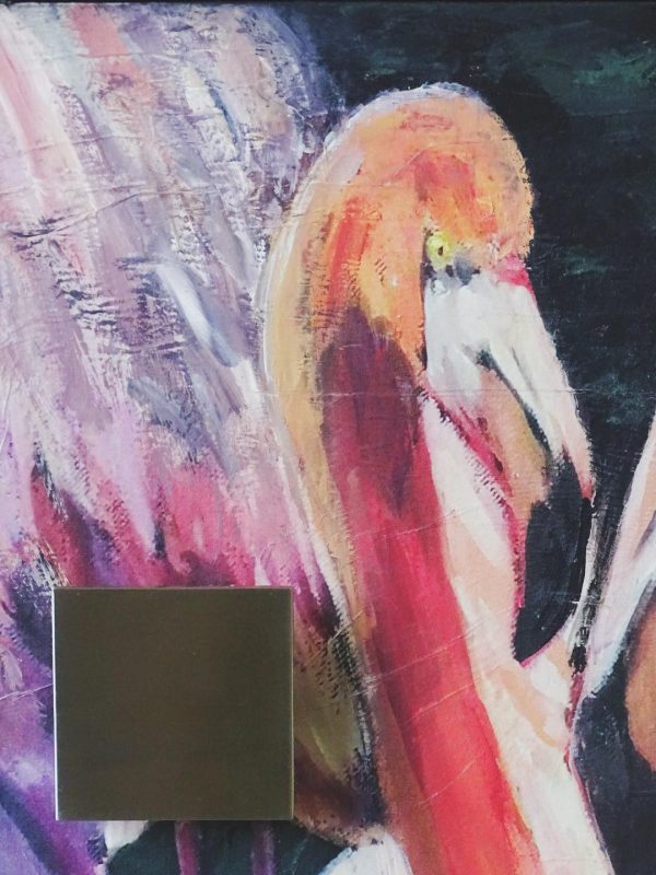 Flamingo - Image 5