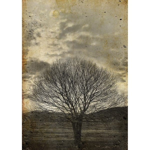 Seepia Tree