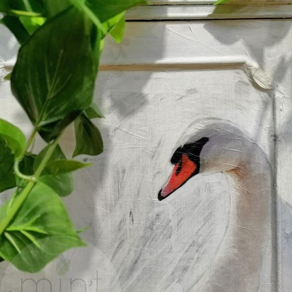 White Swan - Image 4