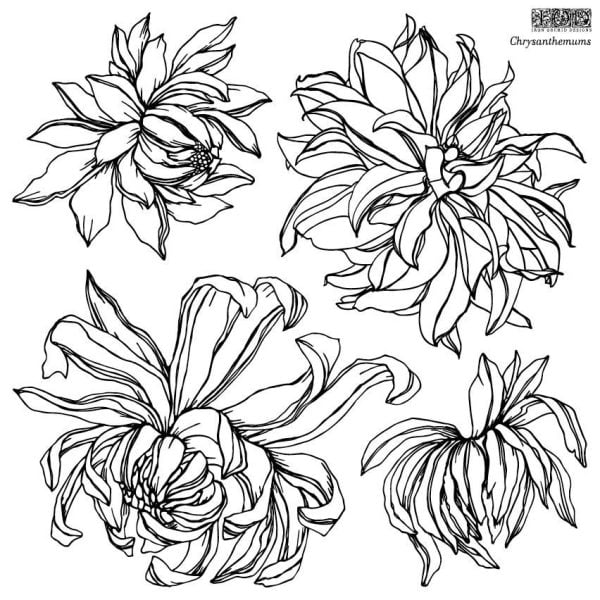Dekoračná pečiatka IOD sada - Chrysanthemums - Image 3