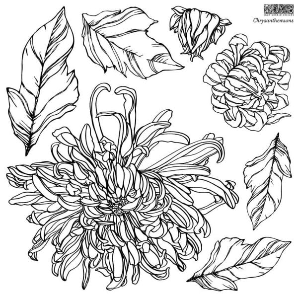 Dekoračná pečiatka IOD sada - Chrysanthemums