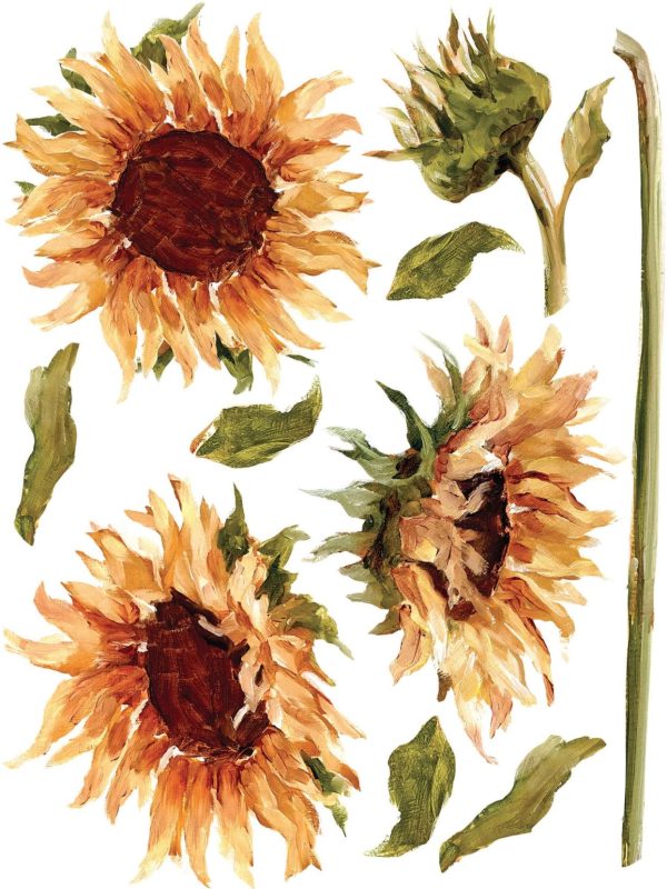 Transfer na nábytok IOD Painterly Florals - Image 2
