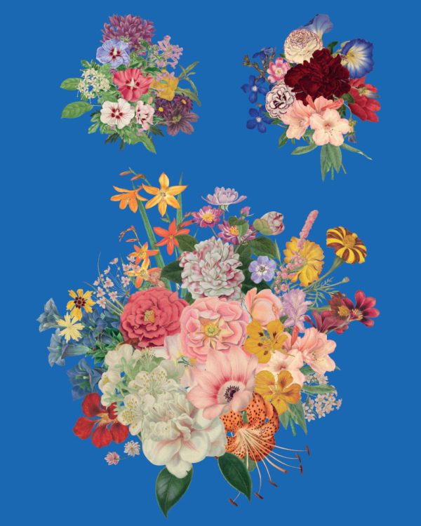 Annie Sloan dekupáž Floribunda