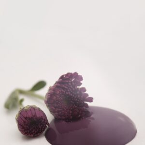 Kriedová farba Vintage Paint Posh Plum