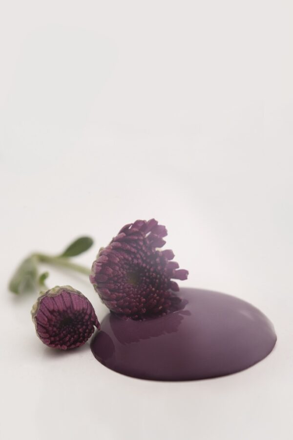 Kriedová farba Vintage Paint Posh Plum