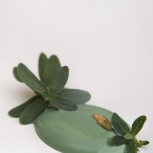 Kriedová farba Vintage Paint - Graceful Green