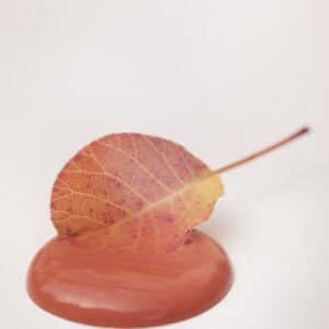 Kriedová farba Vintage Paint Pretty Peach