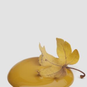 Kriedová farba Vintage Paint Marwellous Mustard