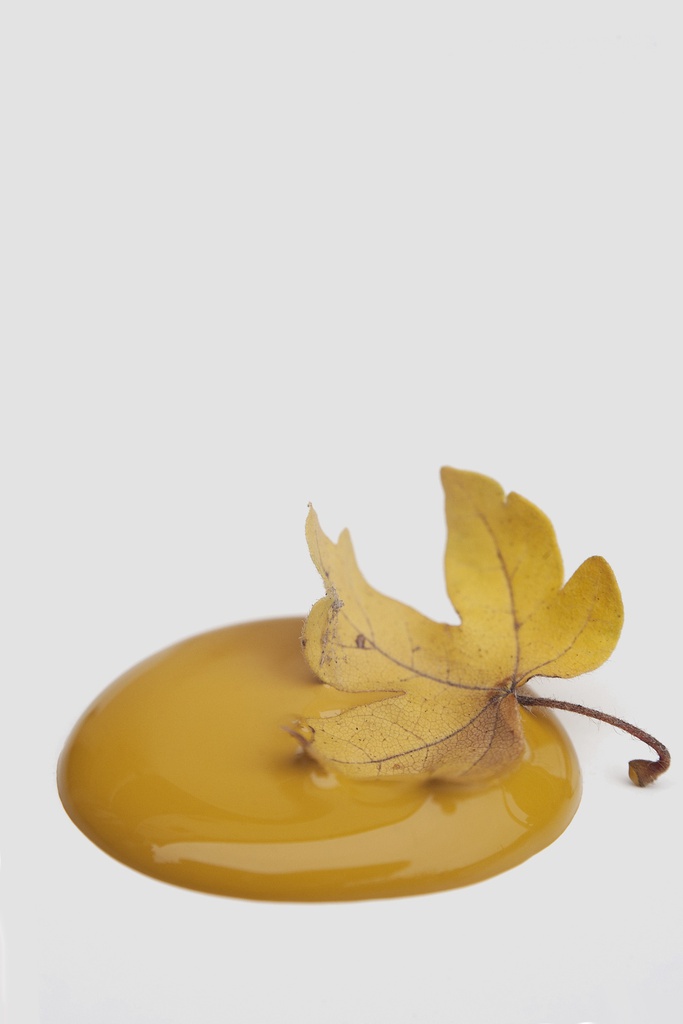 Kriedová farba Vintage Paint Marwellous Mustard