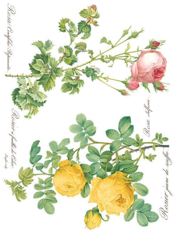 Transfer na nábytok IOD Rose Botanical - Image 7