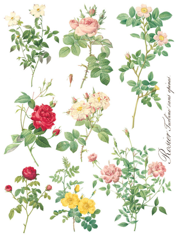 Transfer na nábytok IOD Rose Botanical - Image 9