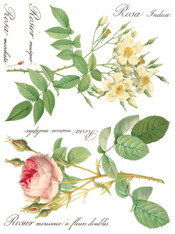 Transfer na nábytok IOD Rose Botanical - Image 11