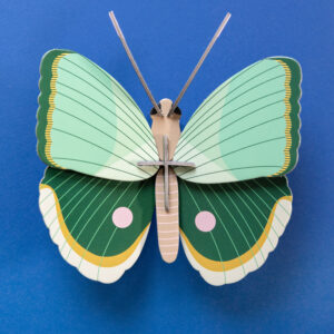 Motýľ zelený pásikavý - Farebné nástenné dekorácie