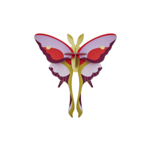 Motýľ Lilac Comet Butterfly - Farebné nástenné dekorácie