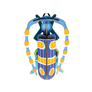 Chrobák fúzač alpský - Rosalia Beetle - Farebné nástenné dekorácie