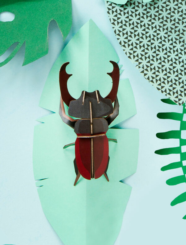 Chrobák Roháč (Stag Beatle) - Farebné nástenné dekorácie