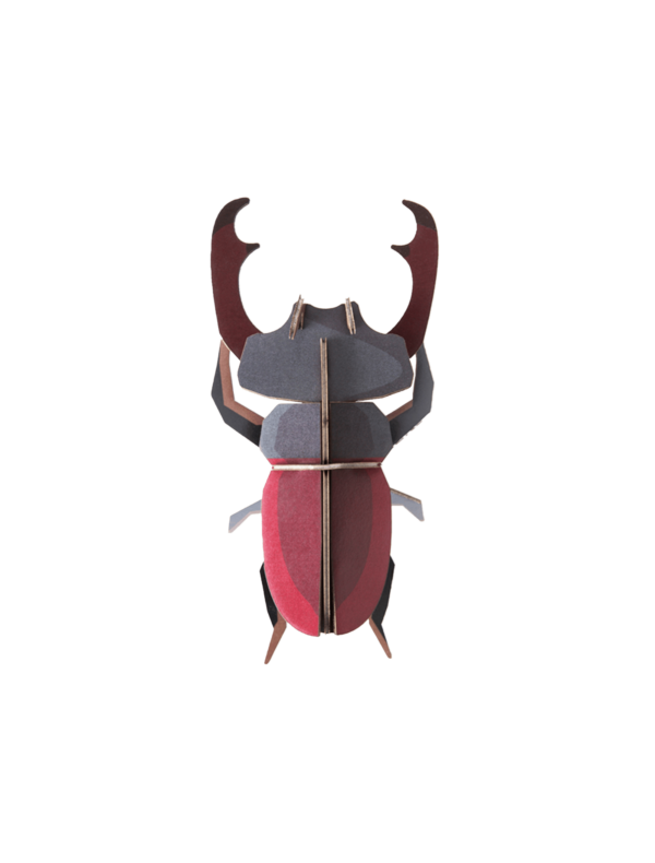 Chrobák Roháč (Stag Beatle) - Farebné nástenné dekorácie - Image 2