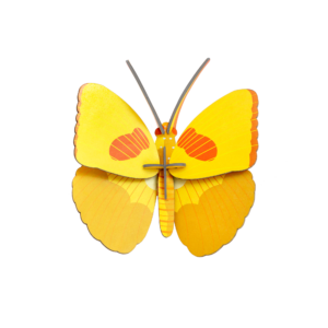 Žltý motýľ - Yellow Buttterfly - Farebné nástenné dekorácie