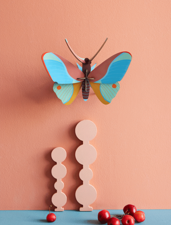 Motýľ Claudina Butterfly - Farebné nástenné dekorácie - Image 2