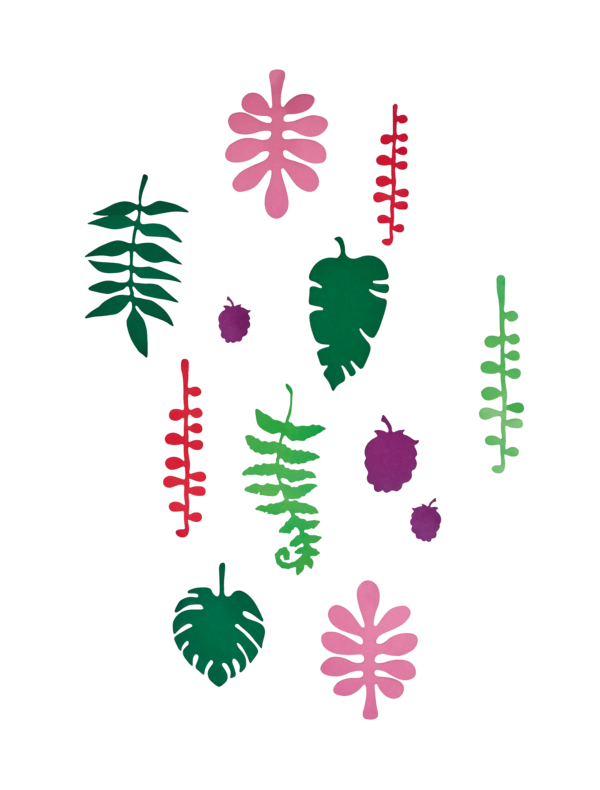 Tropické listy  - Tropical Leaves - Farebné nástenné dekorácie