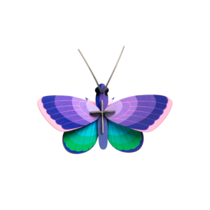 Modráčik - Blue Copper Butterfly - Farebné nástenné dekorácie