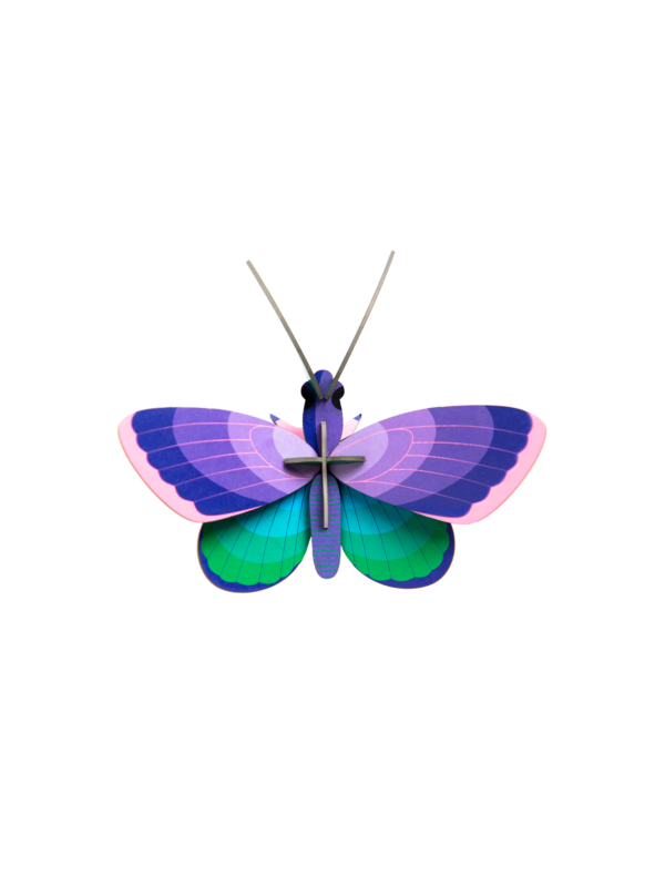 Modráčik - Blue Copper Butterfly - Farebné nástenné dekorácie