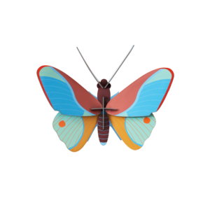 Motýľ Claudina Butterfly - Farebné nástenné dekorácie