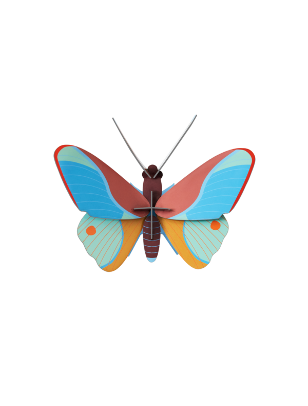Motýľ Claudina Butterfly - Farebné nástenné dekorácie