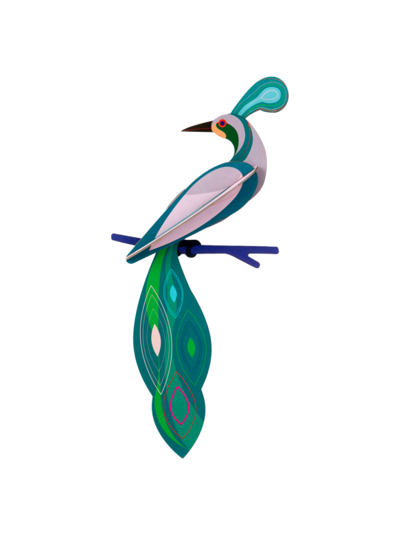 Rajka z Fidži - Paradise Bird - Farebné nástenné dekorácie