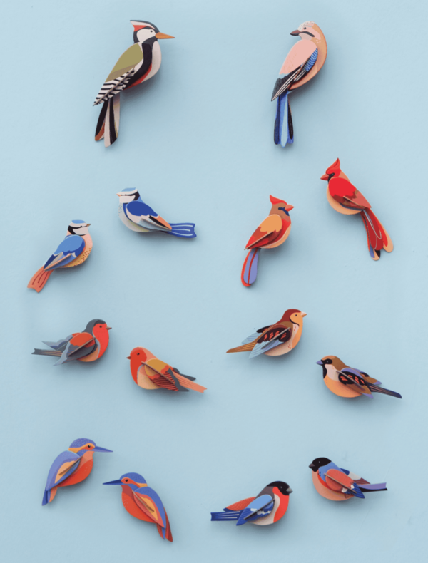Rajka z Fidži - Paradise Bird - Farebné nástenné dekorácie - Image 2