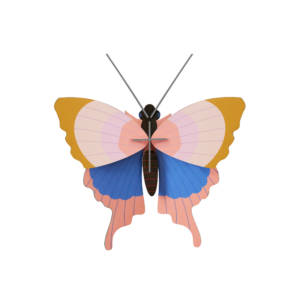 Gold Rim Butterfly - Farebné nástenné dekorácie