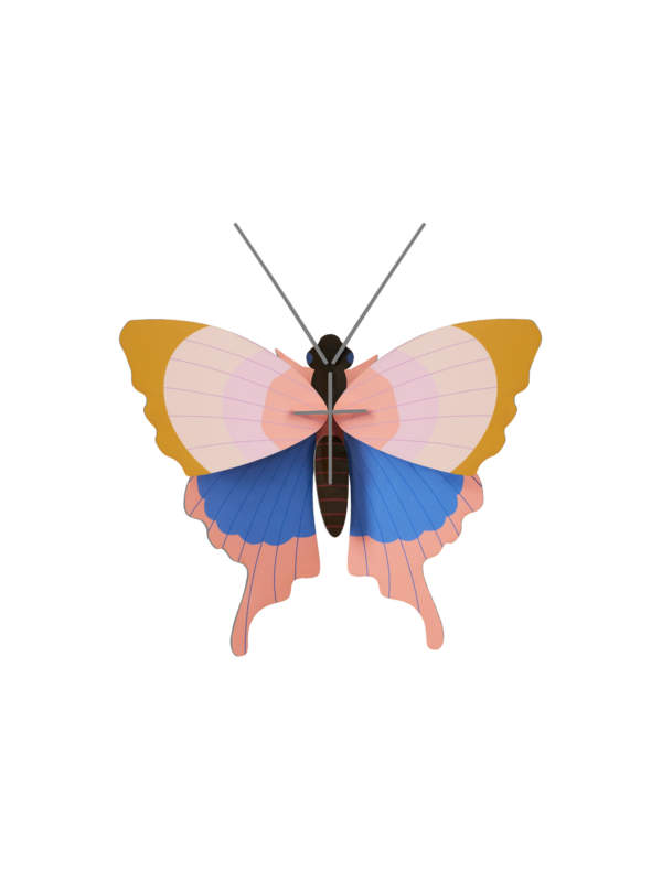 Gold Rim Butterfly - Farebné nástenné dekorácie