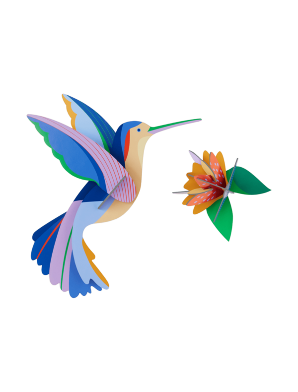 Kolibrík - Hummingbird - Farebné nástenné dekorácie