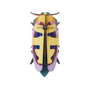 Chrobák Mango Flower Beetle - Farebné nástenné dekorácie