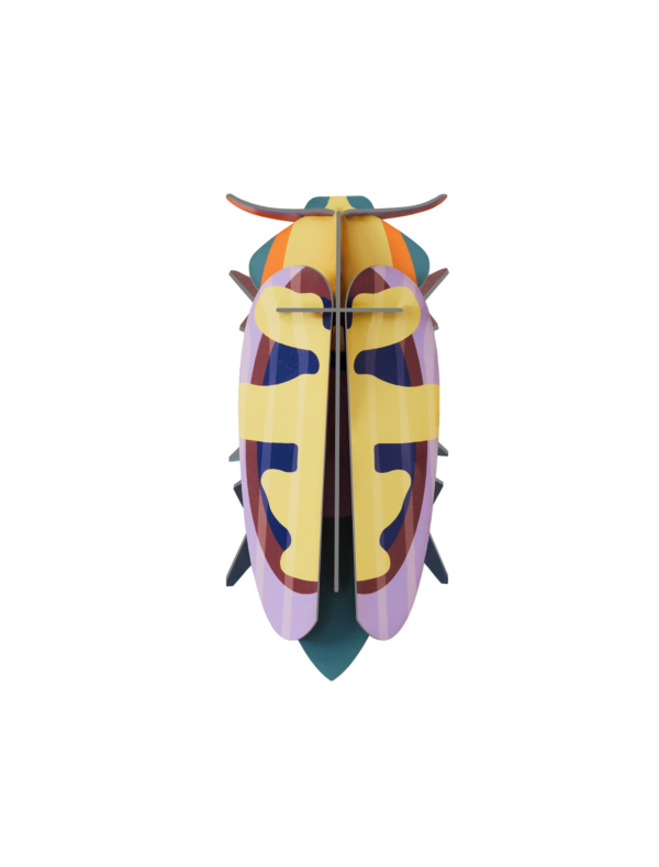 Chrobák Mango Flower Beetle - Farebné nástenné dekorácie