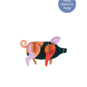 Prasiatko- Farebné kartónové dekorácie