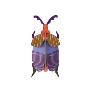 Chrobák Queen Beatle - Farebné nástenné dekorácie