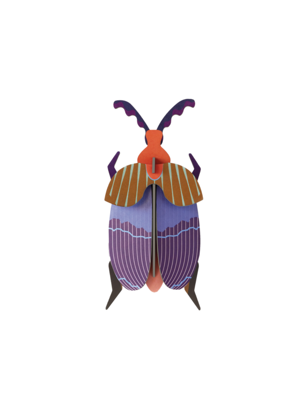 Chrobák Queen Beatle - Farebné nástenné dekorácie