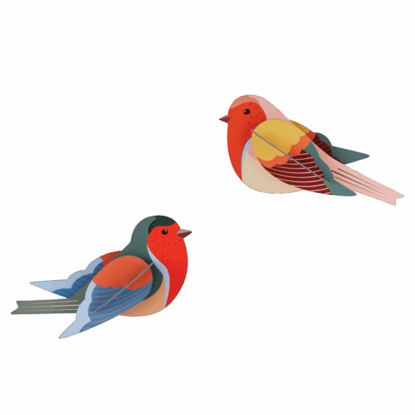 Červienky - Robins - Farebné nástenné dekorácie