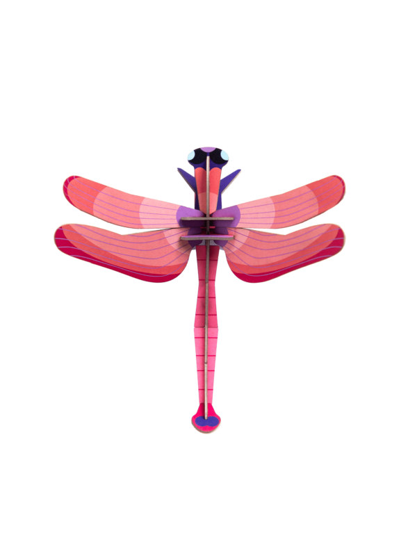 Červená vážka - Ruby Dragonfly - Farebné nástenné dekorácie