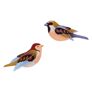 Vrabce - Sparrows - Farebné nástenné dekorácie