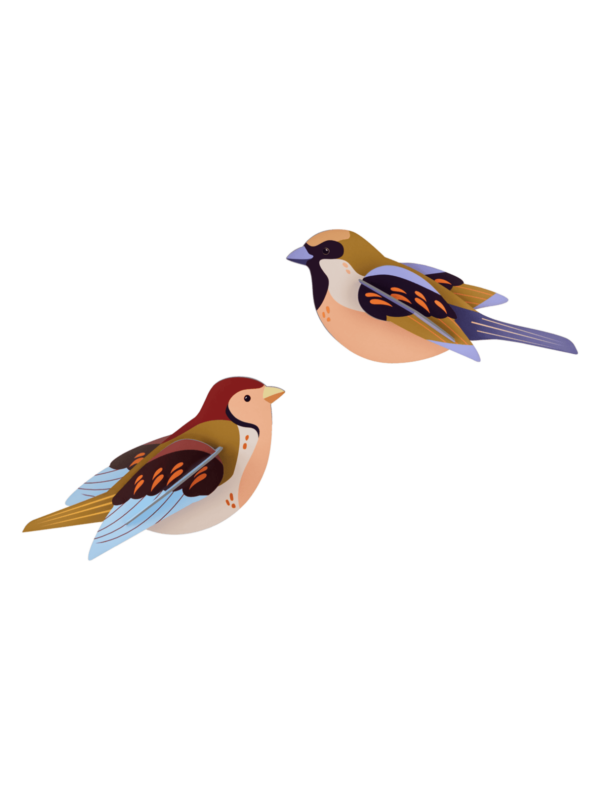 Vrabce - Sparrows - Farebné nástenné dekorácie