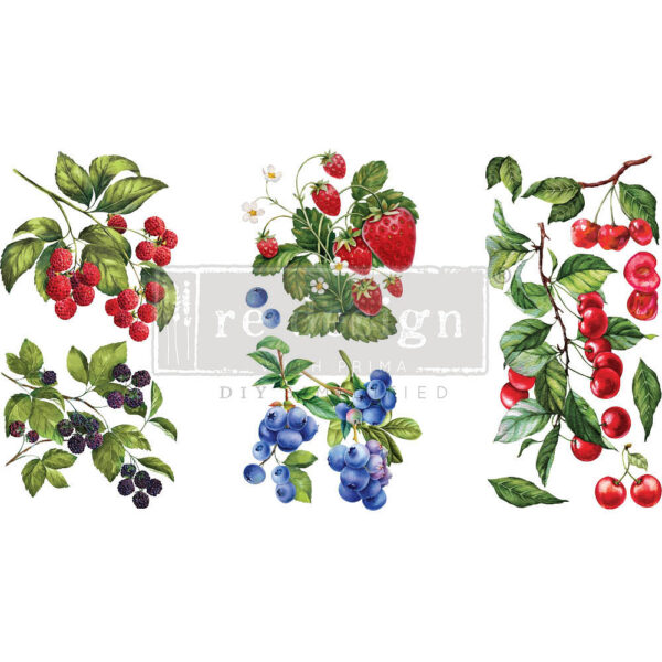 transfer na nabytok Sweet Berries