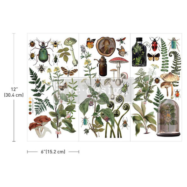 transfer na nábytok Botanical Archives