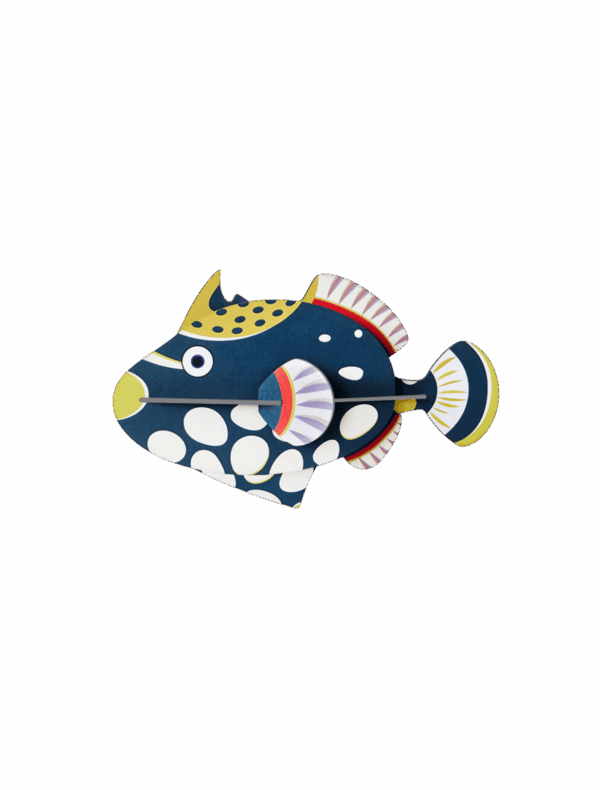 Spústač klaunovitý - Clown Triggerfish - Farebné nástenné dekorácie - Image 3