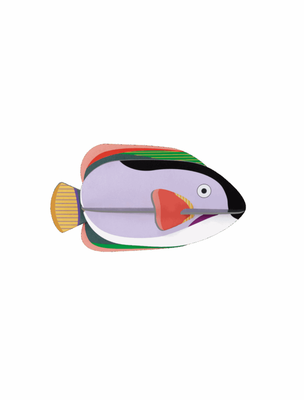 Kráľovská anjelská ryba - King Angelfish - Farebné nástenné dekorácie - Image 3